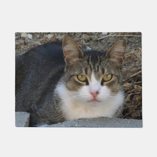 Paillasson Tabby Chat avec matelas vert aux yeux (Devant)