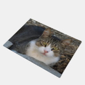 Paillasson Tabby Chat avec matelas vert aux yeux (Incliné)