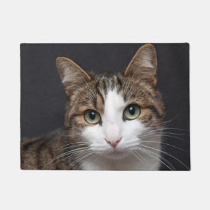 Paillasson Tabby Chat avec yeux verts contre Arrière - plan n