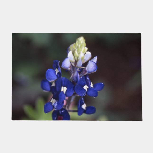 Paillasson Texas Bluebonnet Porte Mat (Devant)