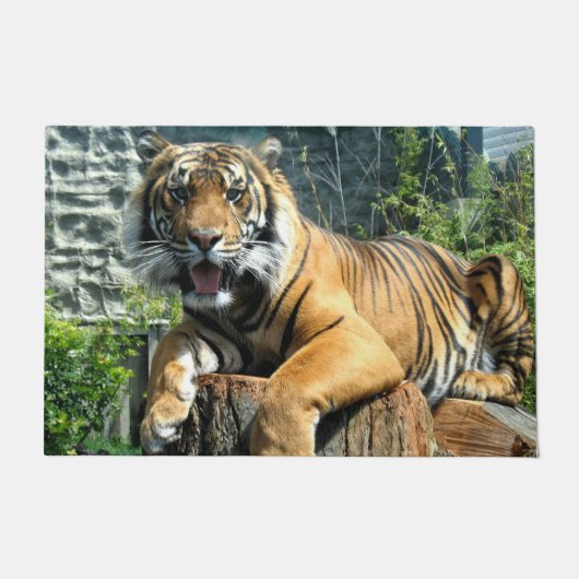 Paillasson Tigre (Devant)
