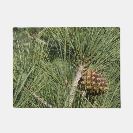 Paillasson Torrey Pine Closeup California Botanical (Devant)