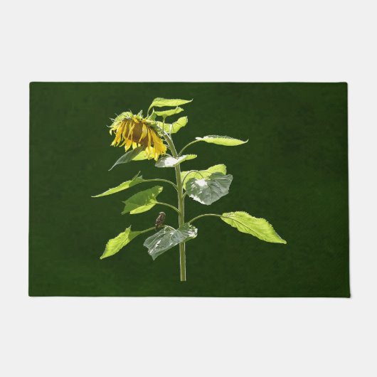 Paillasson Tournesol et Épervier (Devant)