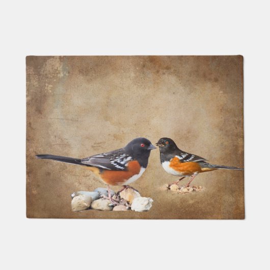 PAILLASSON TOWHEE REPÉRÉ (Devant)