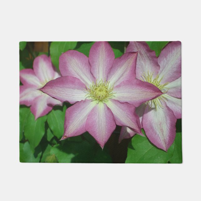 Paillasson Trio de Clematis Pink and White Spring Vine (Devant)