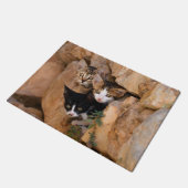 Paillasson Trois chatons curieux de chat (Incliné)