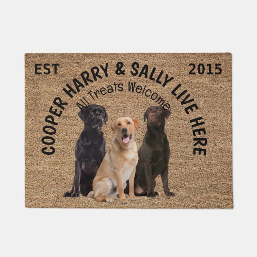 Paillasson Trois chiens Amoureux des chiens personnalisé (Devant)