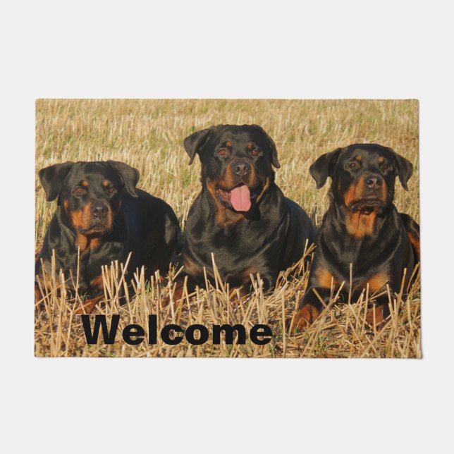 Paillasson Trois chiens Rottweiler - Pack de Rotties Bienvenu (Devant)