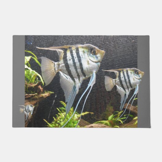 Paillasson Tropical Striped Poisson Design Porte Mat (Devant)