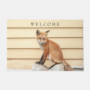 Paillasson Trousse Red Fox dans la vallée de l'Hudson