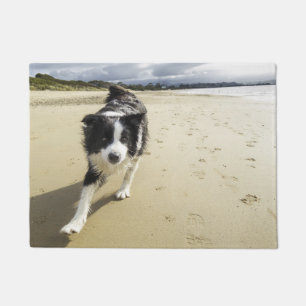 Paillasson Un chien de border collie fonctionnant sur la