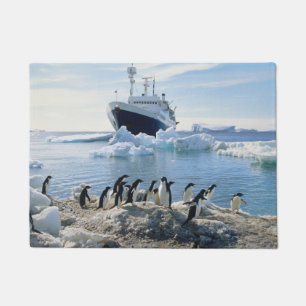 Paillasson Un groupe de pingouins se tenant sur une plage