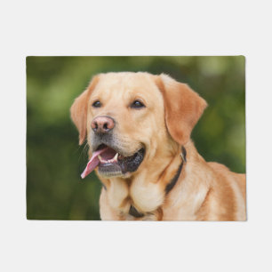 Paillasson Un magnifique Labrador doré