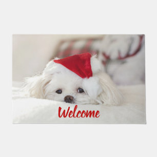 Paillasson Un mignon chien blanc dans un Casquette de Noël ro