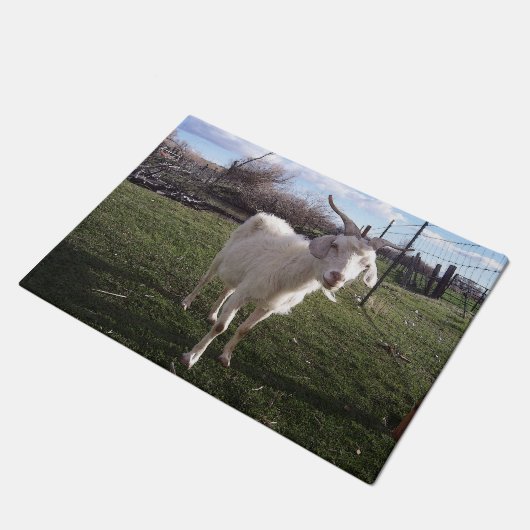 Paillasson Une jeune chèvre (Incliné)