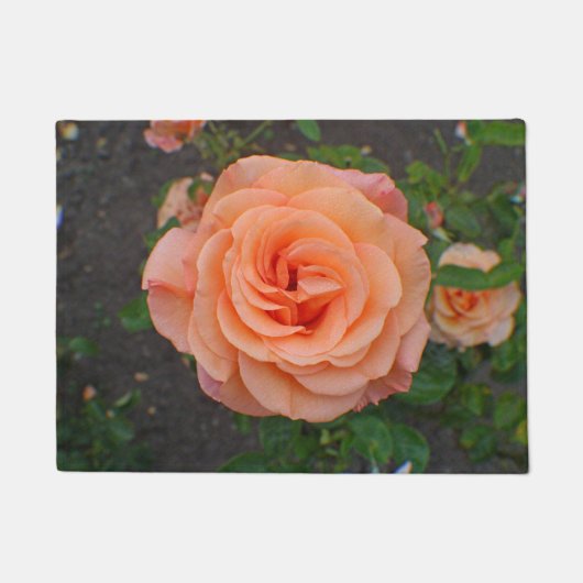Paillasson Une seule fleur d'orange (Devant)