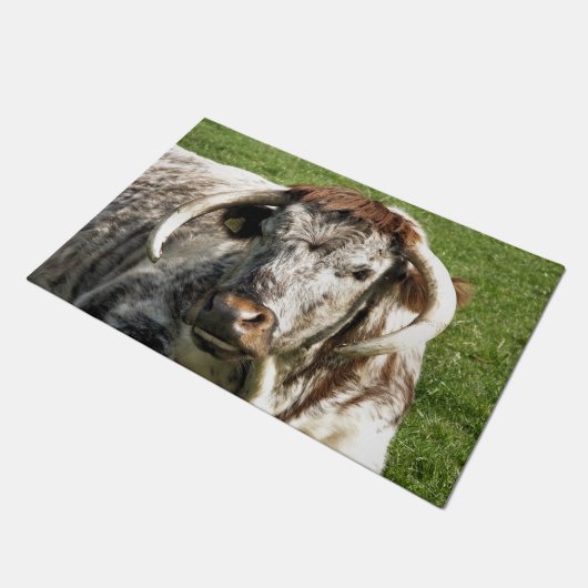 PAILLASSON VACHE (Incliné)