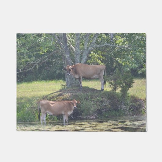 Paillasson Vaches de campagne (Devant)
