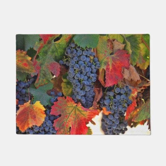Paillasson Vignoble automne (Devant)