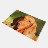 Paillasson Vizla hongroise. (Incliné)