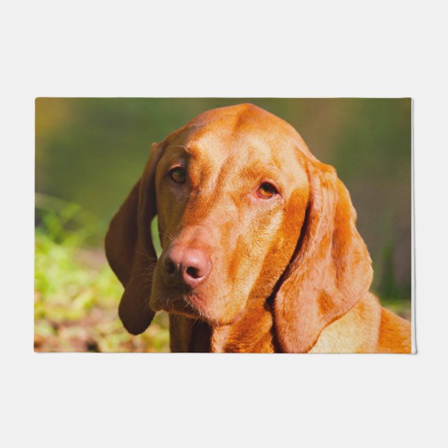 Paillasson Vizla hongroise. (Devant)