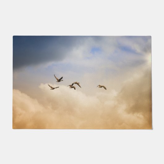 Paillasson Vols d'oiseaux (Devant)