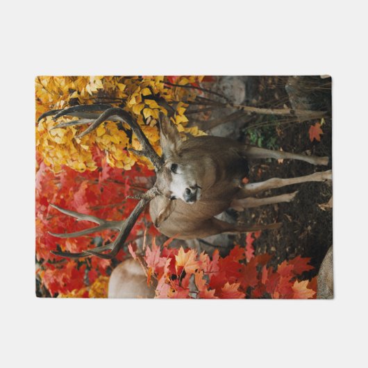 Paillasson Whitetail En Automne (Devant)