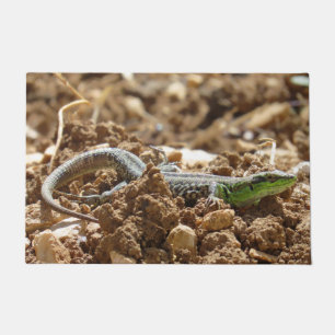 Paillasson Wild Lizard Nature Photographie Rustique