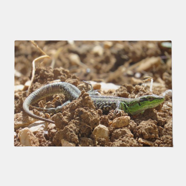 Paillasson Wild Lizard Nature Photographie Rustique (Devant)