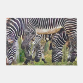 PAILLASSON ZEBRAS (Devant)