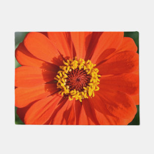 Paillasson Zinnia orange