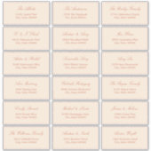 Paille de terre cuite Beige 18 Étiquettes de adres (Devant)