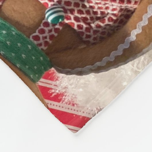 Pain d'épice couverture (Coin)