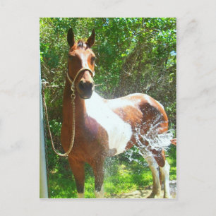Paint Bath Briefkaart