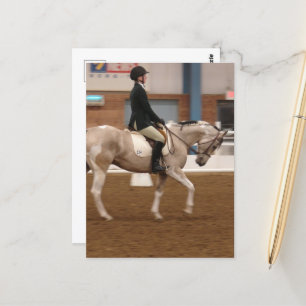 Paint Horse 134 bij een Show Briefkaart