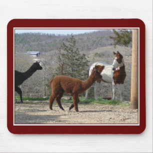 Paint Horse Alpaca Mousepad Muismat