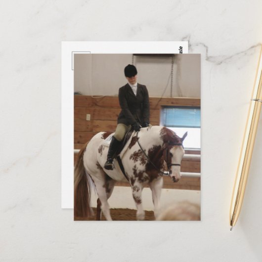 Paint Horse bij een Show Briefkaart (Voorkant / Achterkant in situ)