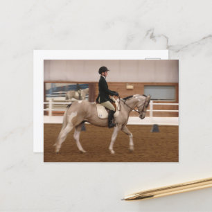 Paint Horse bij een Show Briefkaart