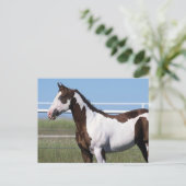 Paint Horse Briefkaart (Staand voorkant)