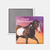 Paint Horse galopant soleil levant Magnet (Recto/Verso)