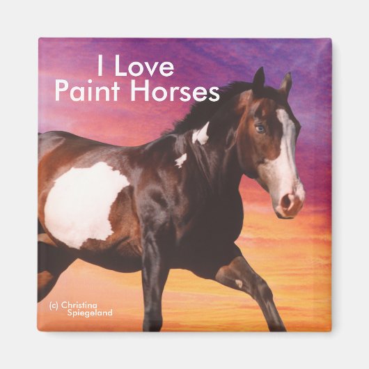 Paint Horse galopant soleil levant Magnet (Devant)