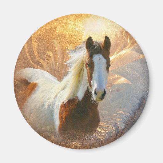 Paint Horse Gold Magnet (Devant)