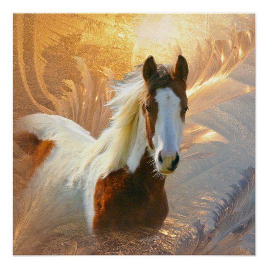 Paint Horse Gold Perfect Poster (Voorkant)