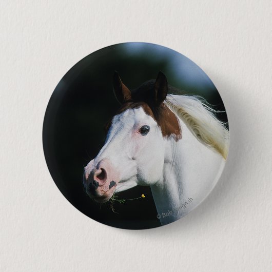 Paint Horse Headshot 3 Ronde Button 5,7 Cm (Voorkant)