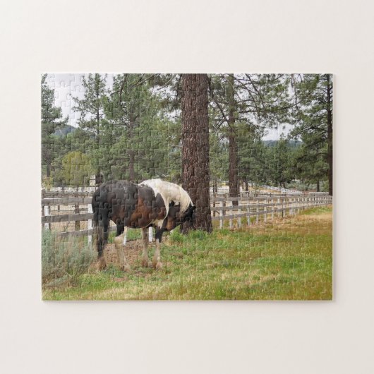 Paint Horse in Field Jigsaw Puzzle (Horizontal)