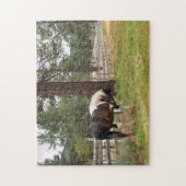 Paint Horse in Field Jigsaw Puzzle (Vertical)