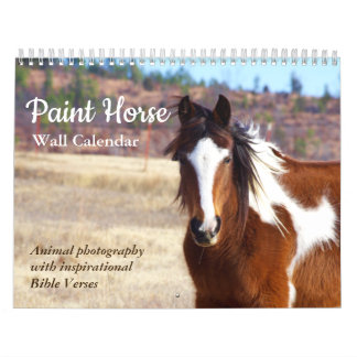 Paint Horse Kalender 2025 Dierenfotografie