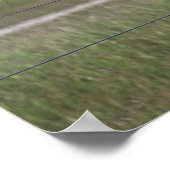 Paint Horse Poster (Hoek)