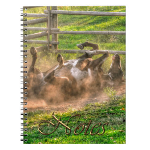 Paint Horse Rolling in Dust Funny Equine Photo Notitieboek