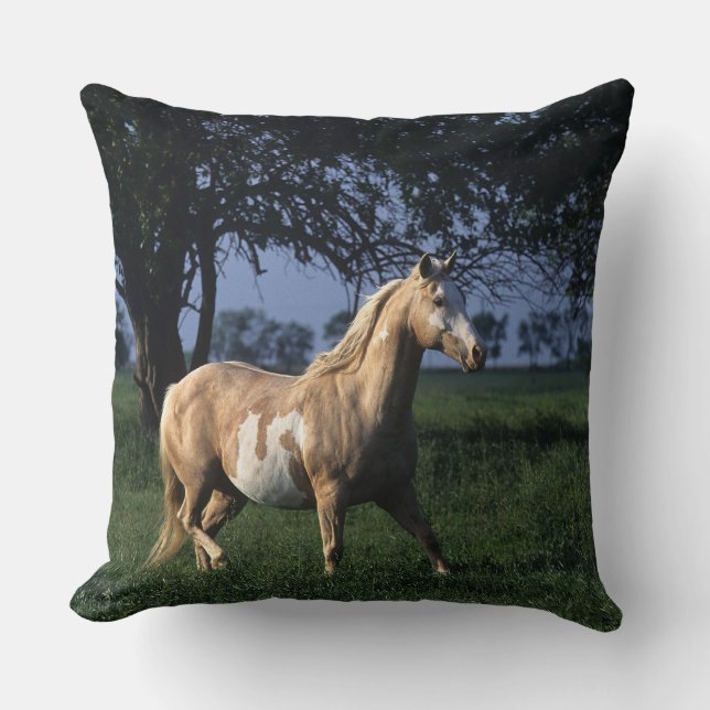 Paint Horse Standing 2 Kussen (Voorkant)